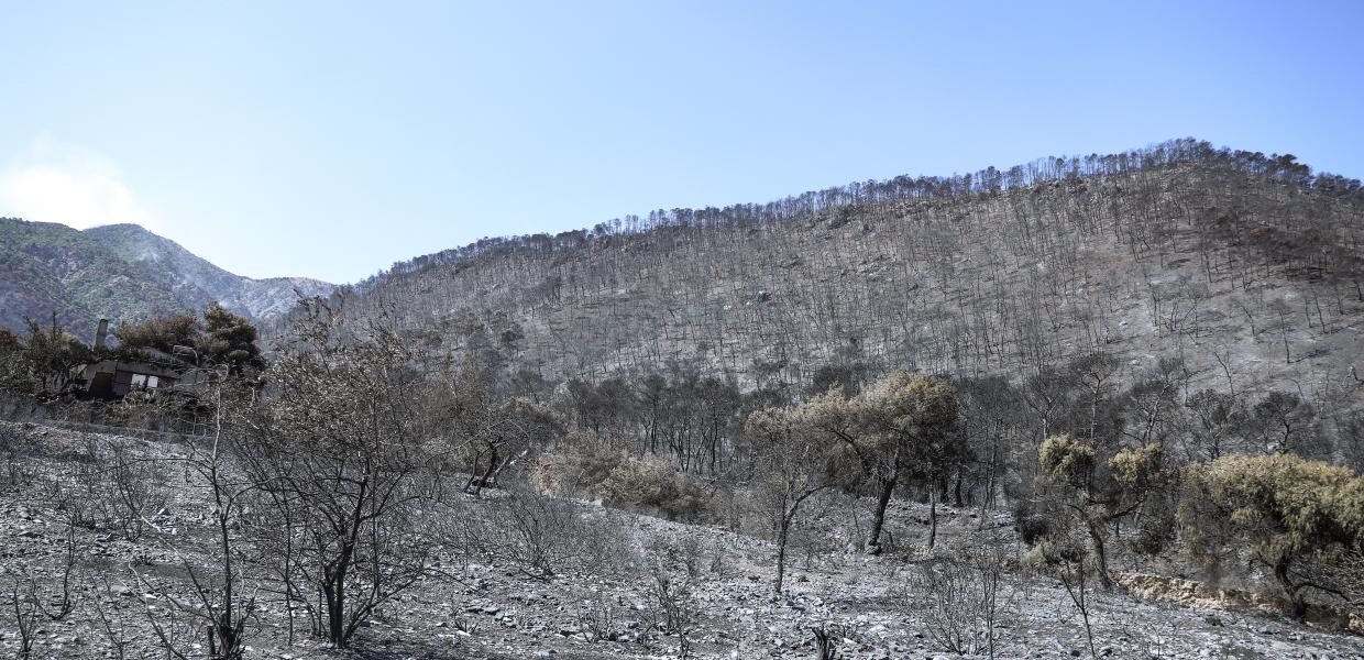 Γεράνεια Όρη Σχίνος πυρκαγιά φωτιά