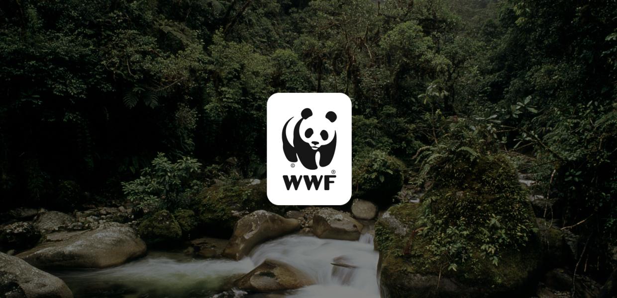 ΒΕΒΕΕΦ WWF