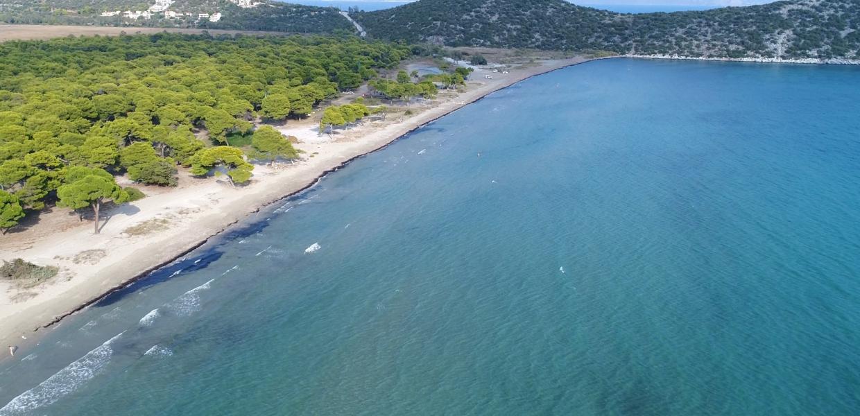 ΠΑΡΑΛΙΑ