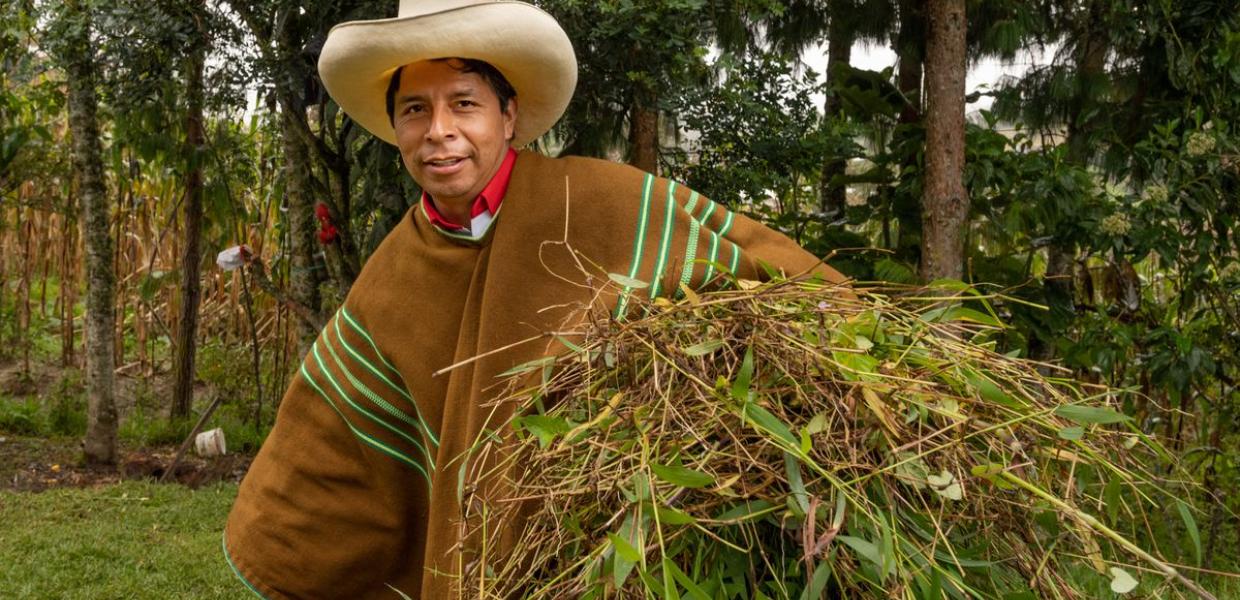 Pedro Castillo
