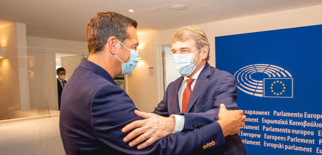ΒΡΥΞΕΛΛΕΣ ΤΣΙΠΡΑΣ ΣΑΣΟΛΙ