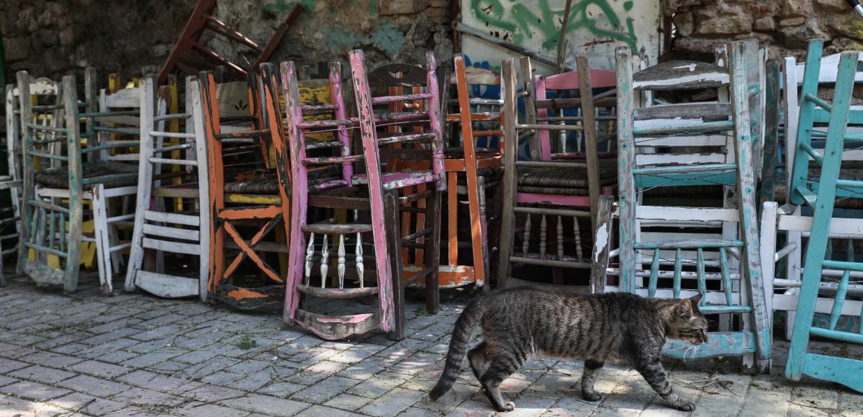 Καρέκλες σε κατάστημα εστίασης