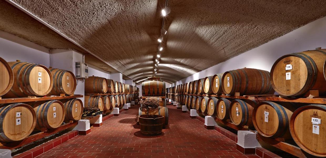 Κελάρι με κρασιά του Santo Wines