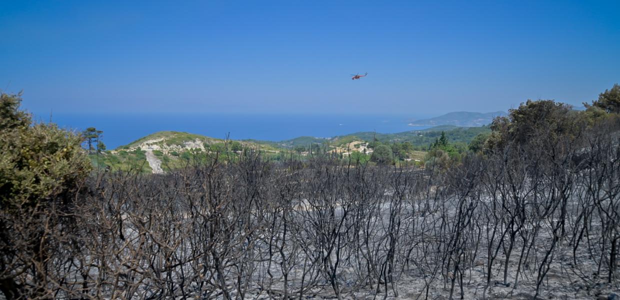 Σάμος φωτιά