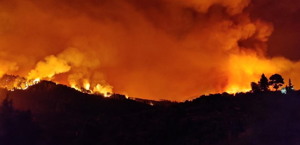 Πυρκαγιά στη Λίμνη Εύβοιας, 4 Αυγούστου 2021.