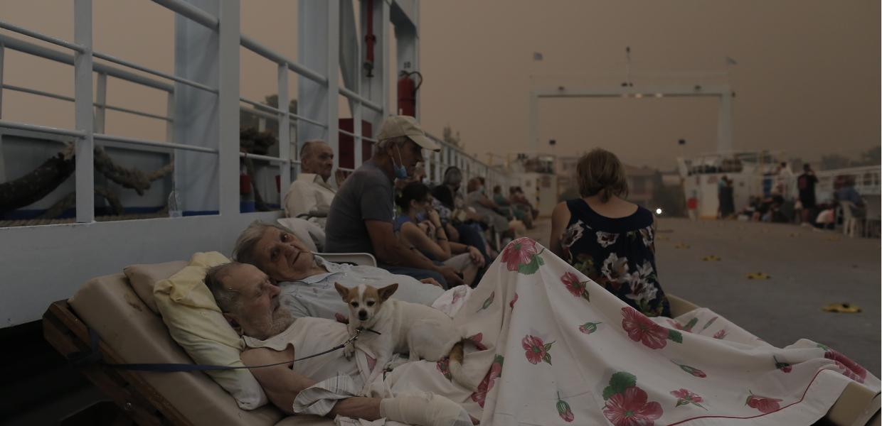 ΗΛΙΚΙΩΜΕΝΟ ΖΕΥΓΑΡΙ ΠΕΥΚΙ ΕΥΒΟΙΑ