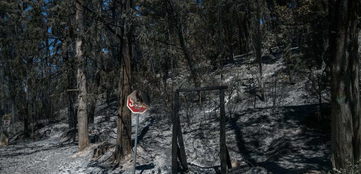 ΦΩΤΙΑ ΤΑΤΟΙ ΑΤΤΙΚΗ