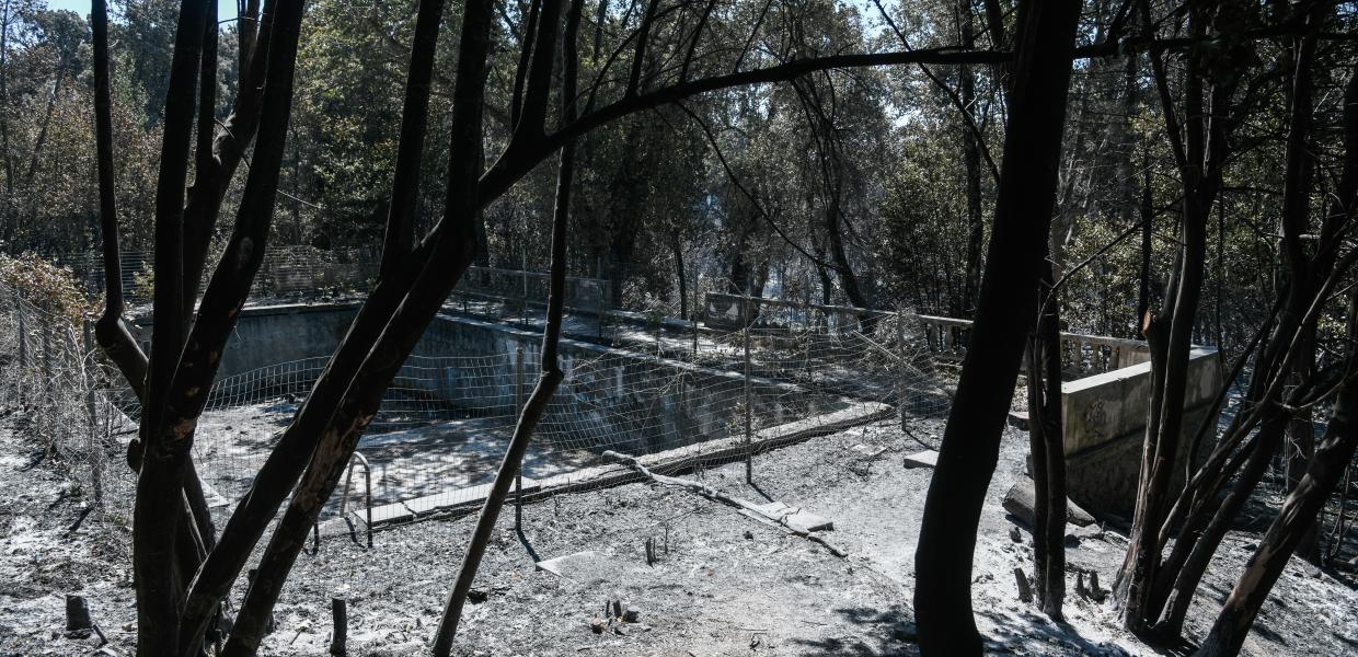 ΦΩΤΙΑ ΤΑΤΟΙ ΑΤΤΙΚΗ