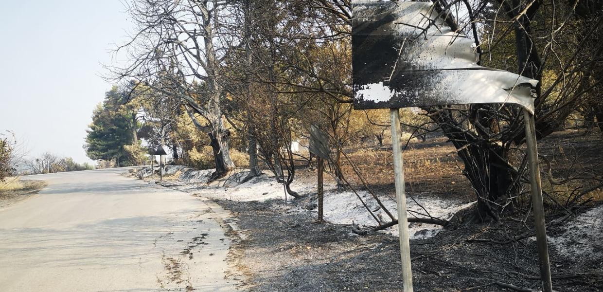 πυρκαγιά Εύβοια Λίμνη