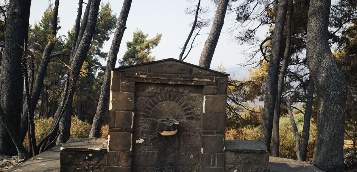 Πυρκαγιά Εύβοια Σκεπαστή