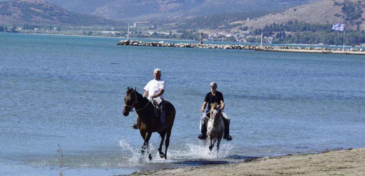 AΛΟΓΑ