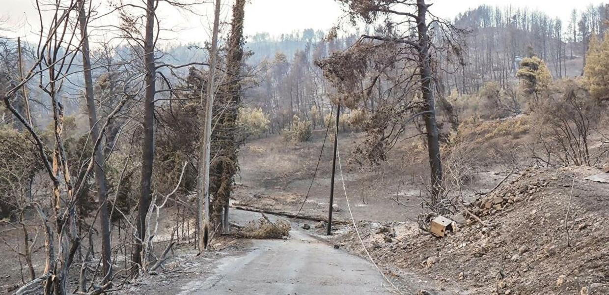 ΚΑΜΕΝΑ
