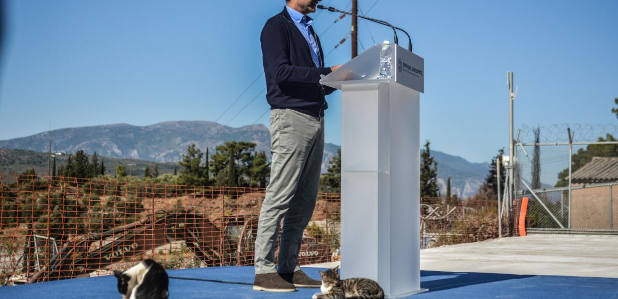 ΜΗΤΣΟΤΑΚΗΣ