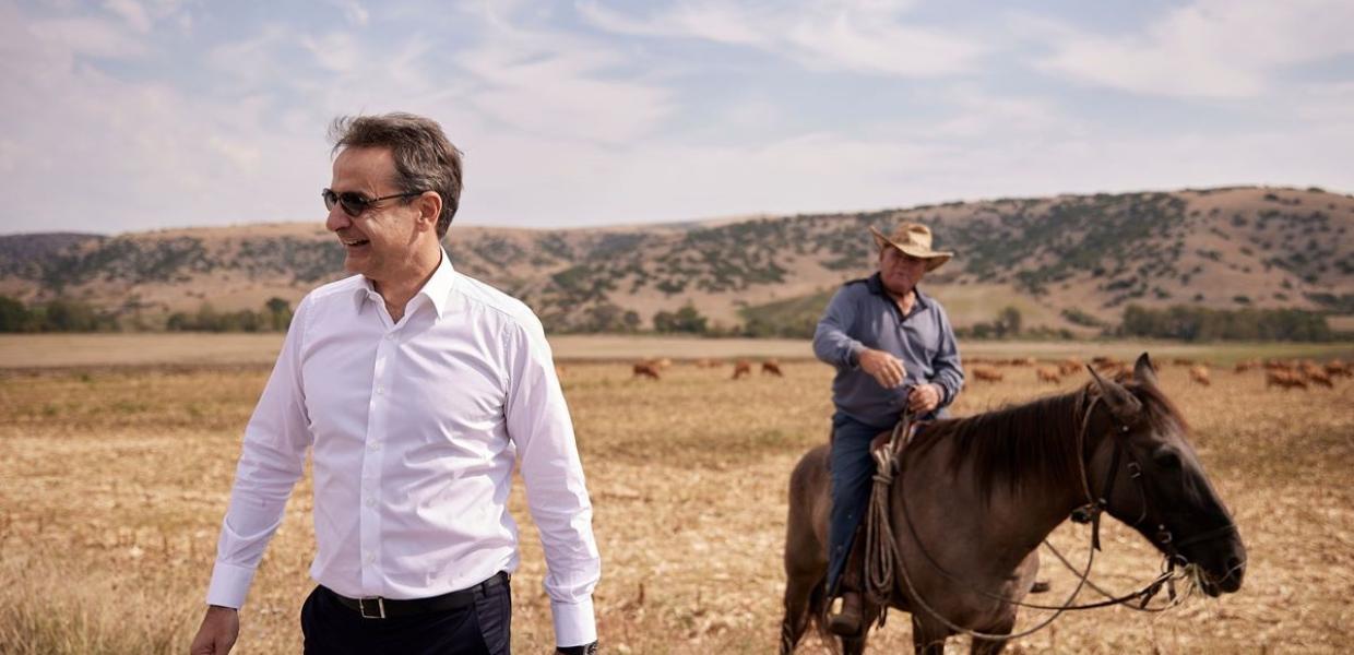 ΜΗΤΣΟΤΑΚΗΣ