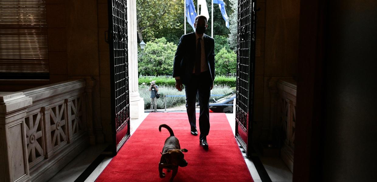 ΜΗΤΣΟΤΑΚΗΣ