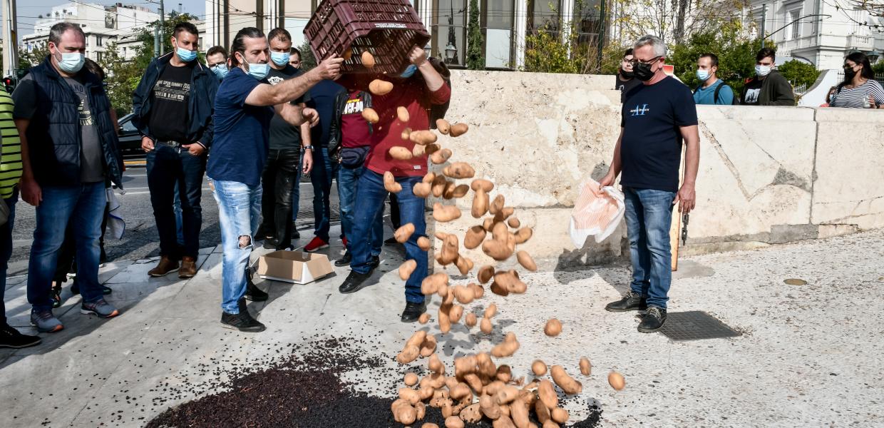 ΠΥΡΟΠΛΗΚΤΟΙ ΔΙΑΜΑΡΤΥΡΙΑ ΒΟΥΛΗ