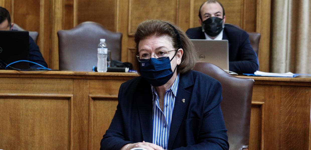 Η Λίνα Μενδώνη στην Επιτροπή Μορφωτικών Υποθέσεων