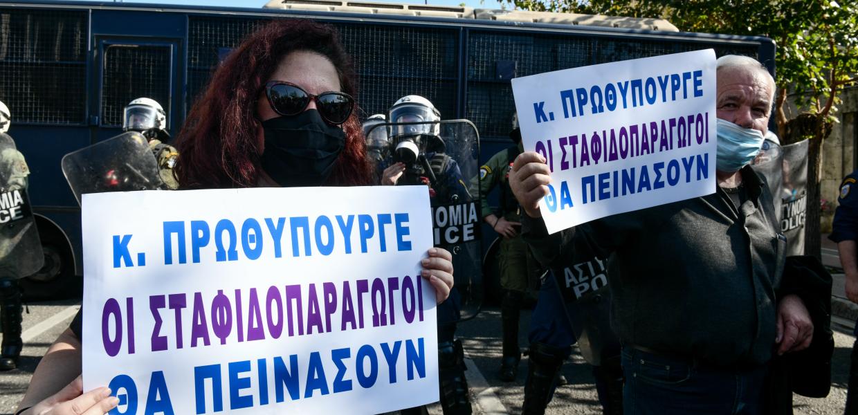 Σταφιδοπαραγωγοί σε συγκέντρωση διαμαρτυρίας