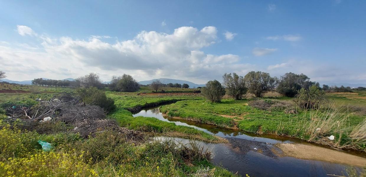 Ερασίνος