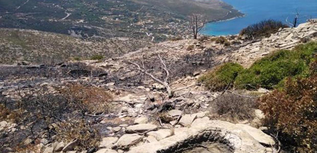 Ρωμαϊκά Λατομεία Στύριας Λίθου στη θέση Πυργάκι στο Νημποριό Εύβοιας μετά τις φωτιές του Ιούλιου 2021.