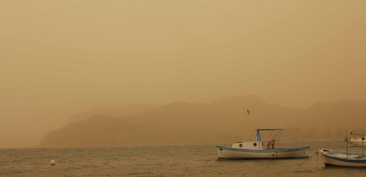 ΑΦΡΙΚΑΝΙΚΗ ΣΚΟΝΗ
