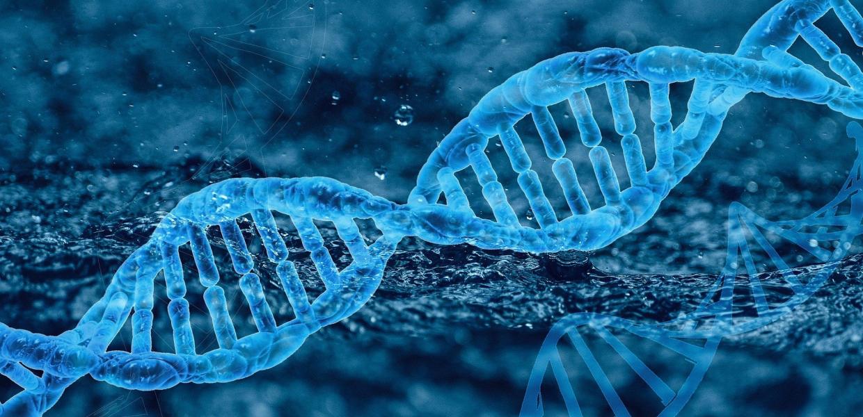 DNA