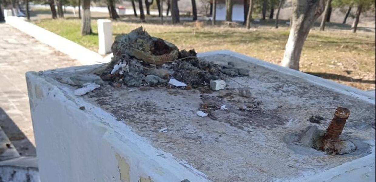ΚΛΟΠΕΣ ΠΡΟΤΟΜΩΝ ΘΕΣΣΑΛΟΝΙΚΗ