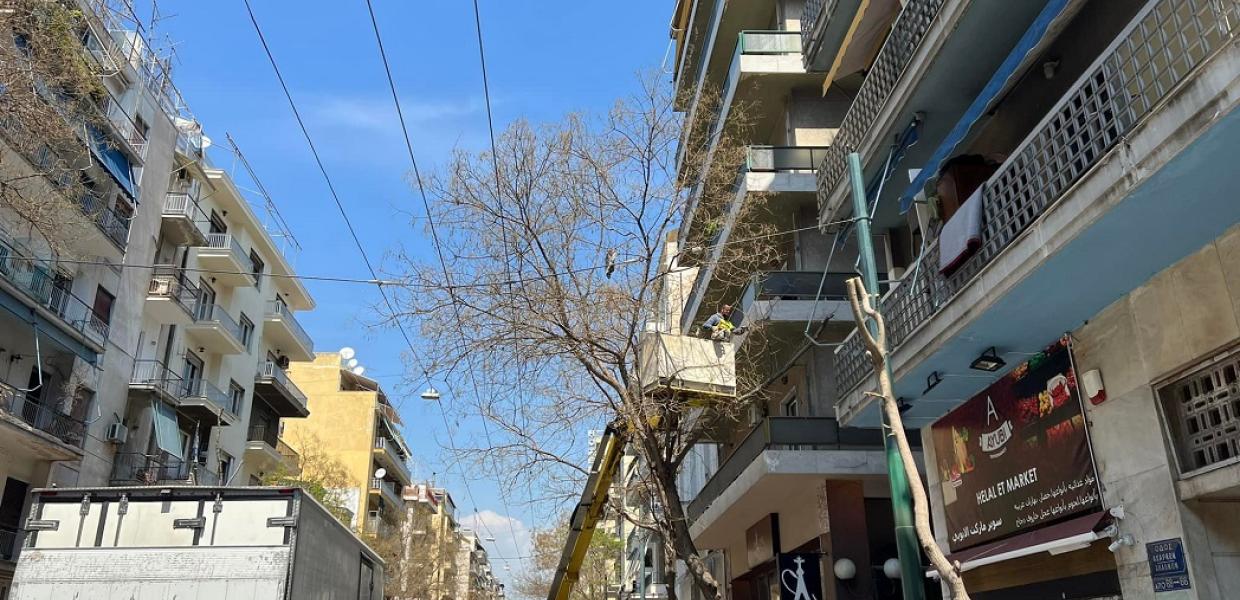 ΔΕΝΤΡΑ