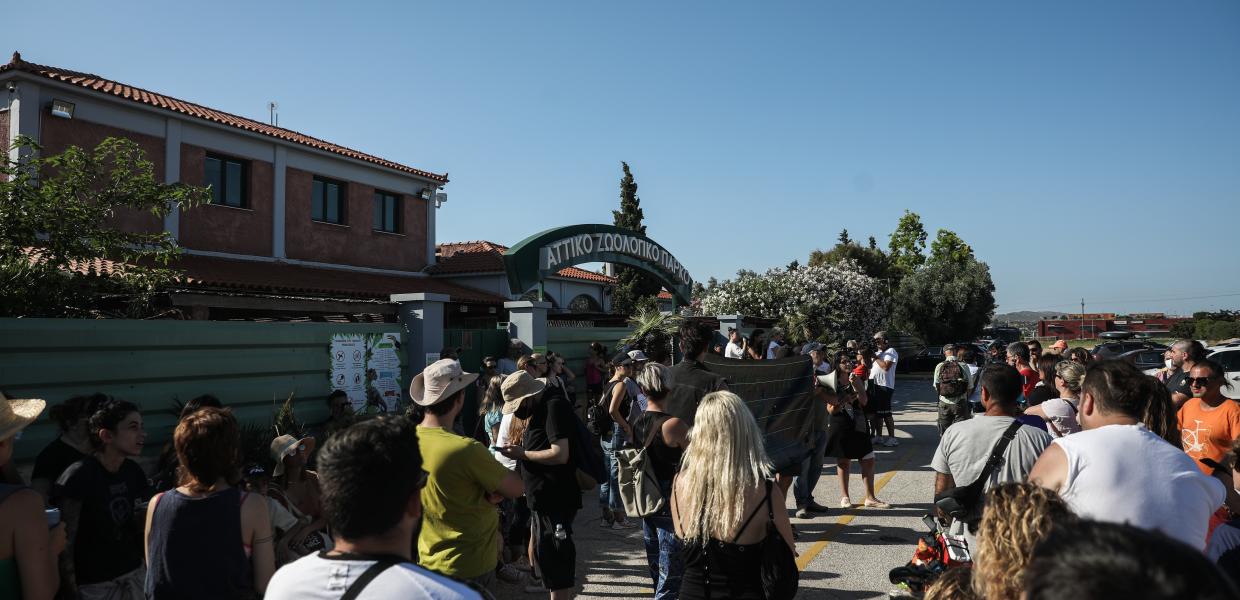 ΑΤΤΙΚΟ ΖΩΟΛΟΓΙΚΟ ΠΑΡΚΟ