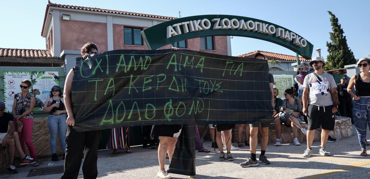 Αττικό Ζωολογικό Πάρκο