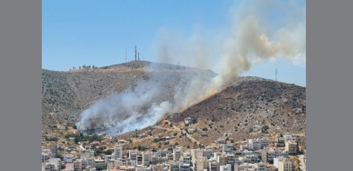 Κορυδαλλός φωτιά