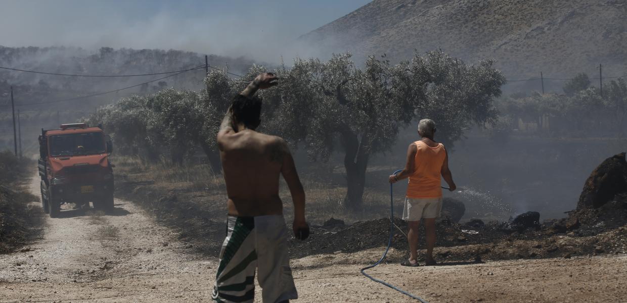 ΦΕΡΙΖΑ ΣΑΡΩΝΙΚΟΥ