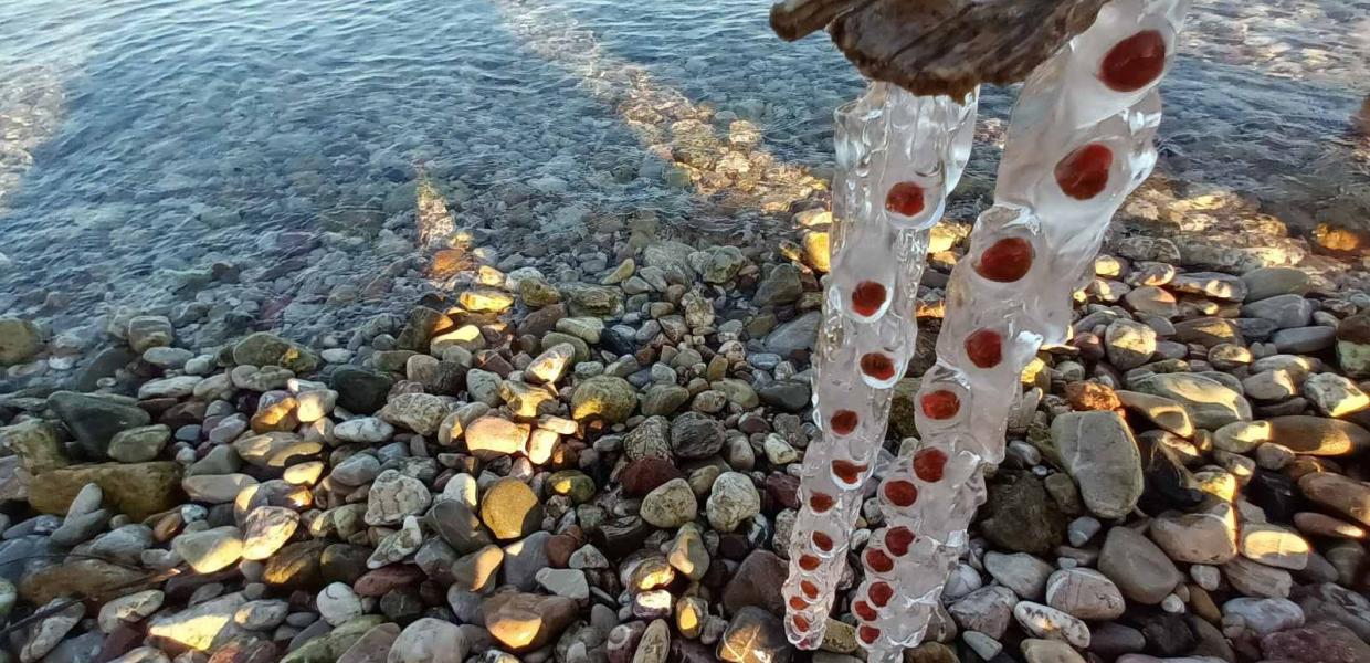 Μέδουσα -Πάτρα