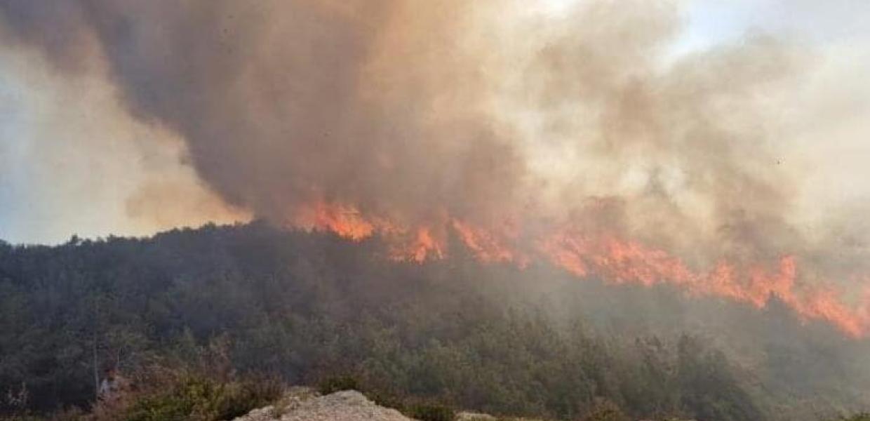 Το δάσος της Δαδιάς