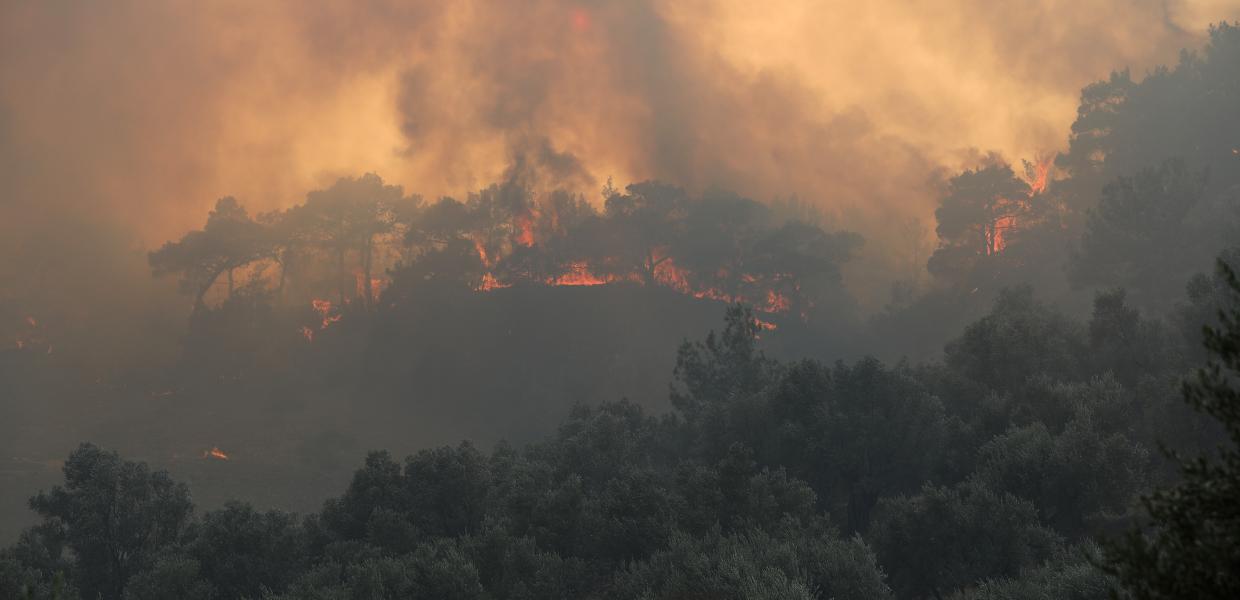 Φωτιά στα Βατερά Λέσβου
