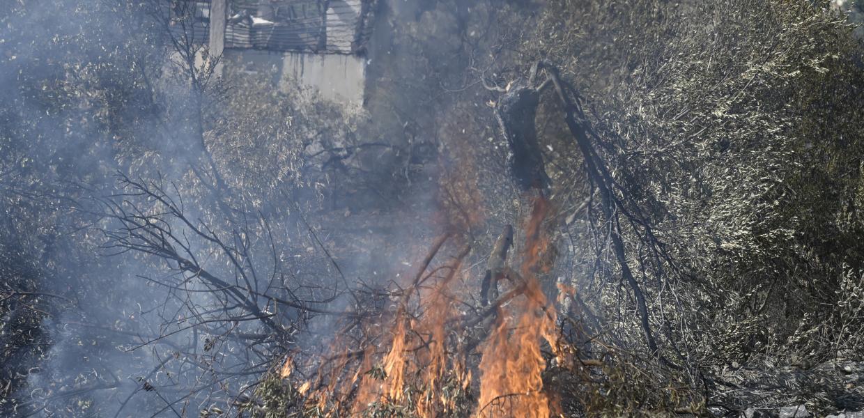 Φωτιά στο Πόρτο Γερμενό