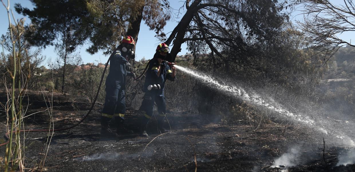 Πυροσβέστες στη φωτιά στο Ντράφι