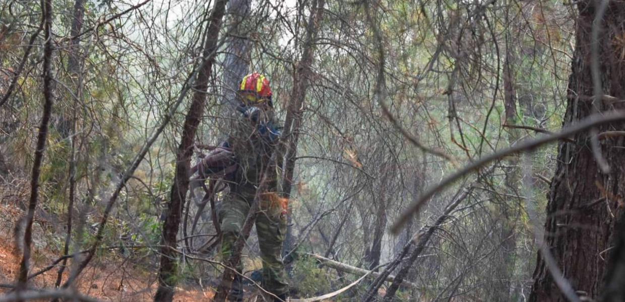 Φωτιά στο Δάσος Δαδιάς