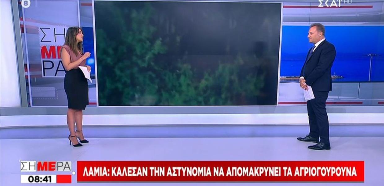 ΣΚΑΪ ΟΙΚΟΝΟΜΟΥ ΑΓΡΙΟΓΟΥΡΟΥΝΑ
