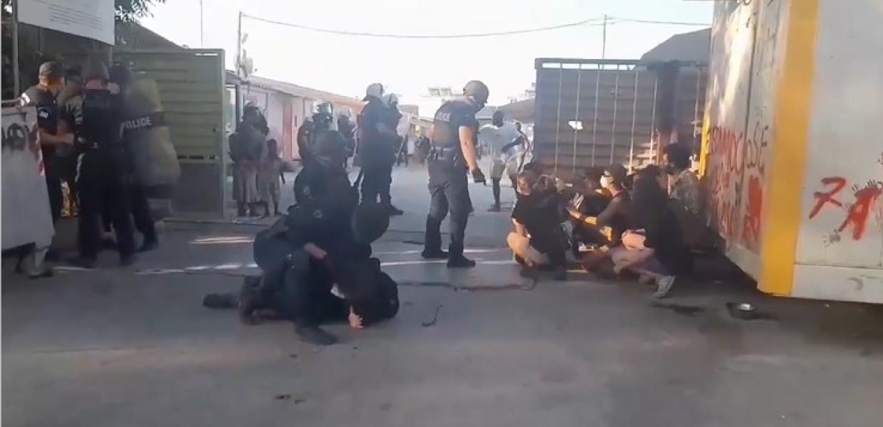 Ελαιώνας