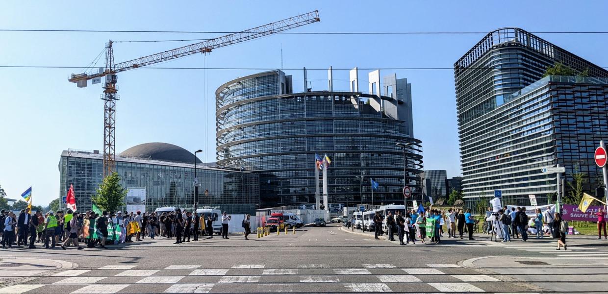 european parliament taxonomy