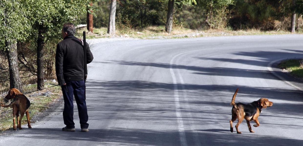 Κυνηγός