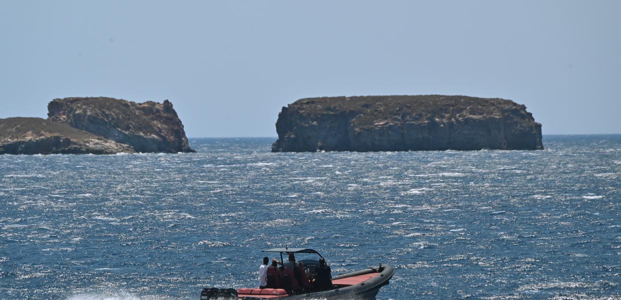 Ταχύπλοο