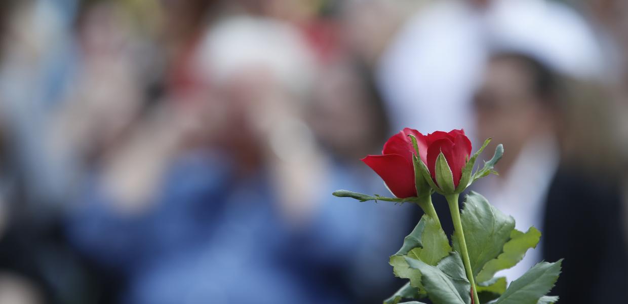 Λουλούδι σε πολιτική κηδεία