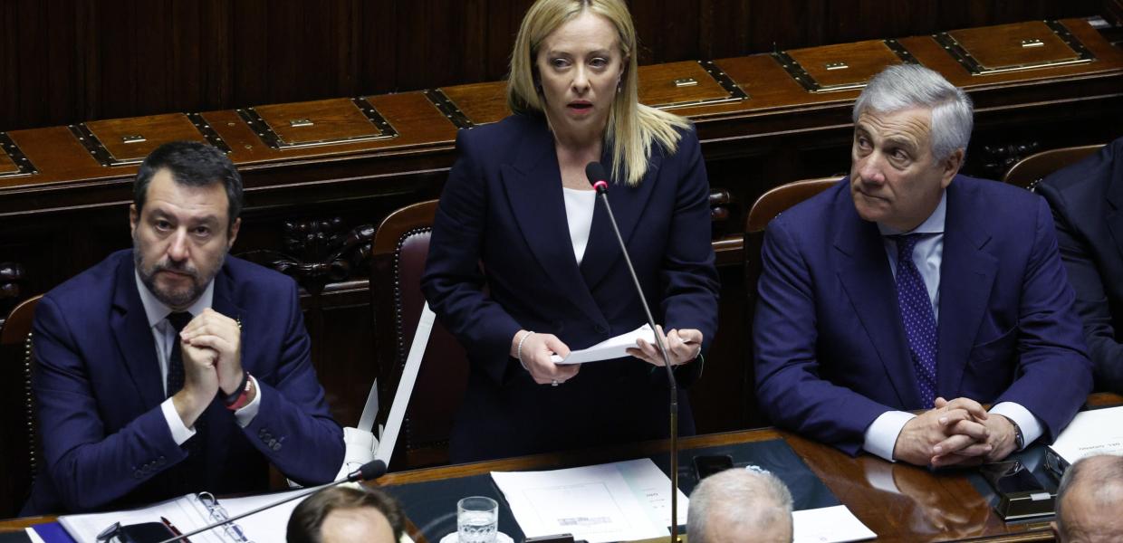 ΣΑΛΒΙΝΙ ΜΕΛΟΝΙ ΤΑΖΑΝΙ