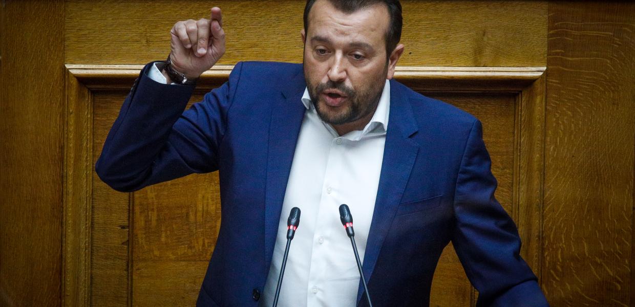 ΝΙΚΟΣ ΠΑΠΠΑΣ ΒΟΥΛΗ