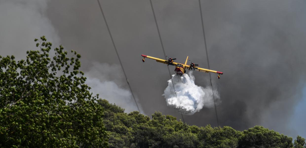 Αμαλιάδα: Φωτιά στην περιοχή Ανάληψη