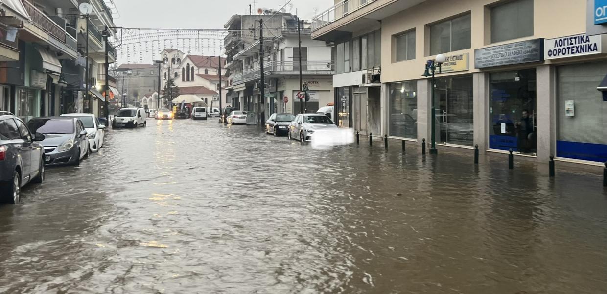 ΑΡΙΔΑΙΑ
