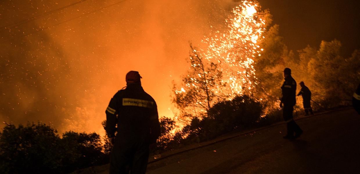 Πυροσβέστες σβήνουν φωτιά σε δάσος