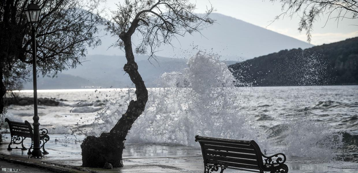 ΜΠΟΦΟΡ